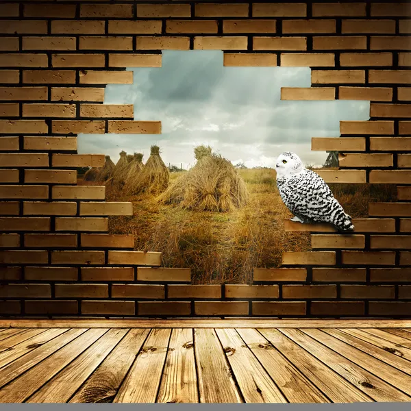 Nature in broken wall — Stock Photo, Image