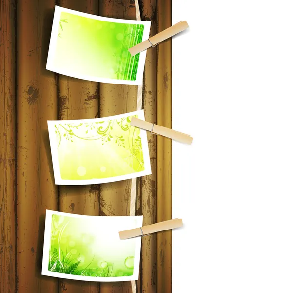 Green foliage photos pinned to a rope — Stock Vector
