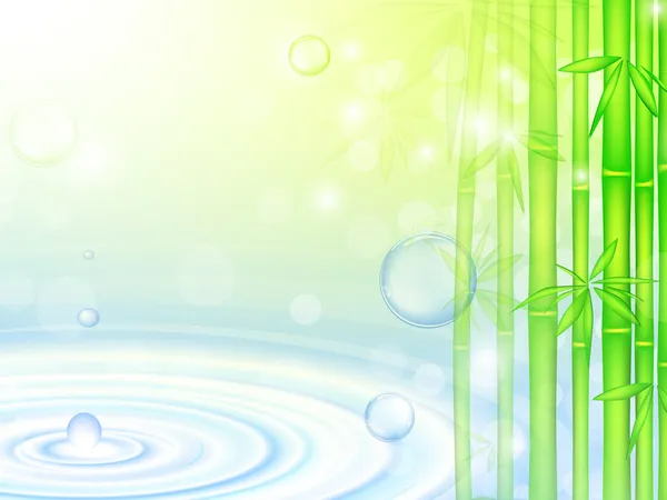 Vatten över bambu — Stock vektor