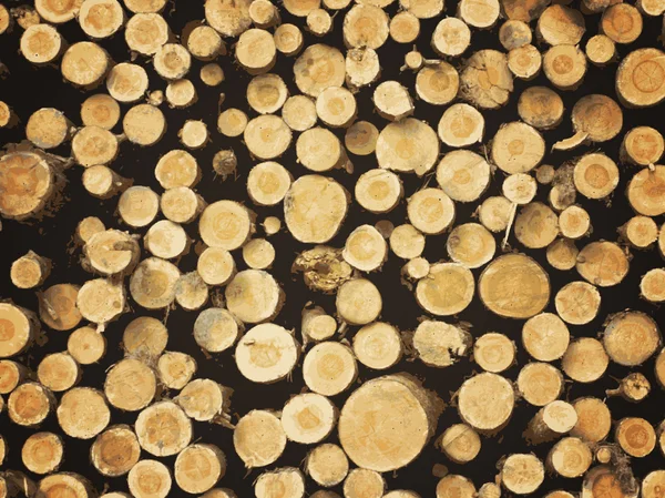 Fond de bois — Image vectorielle