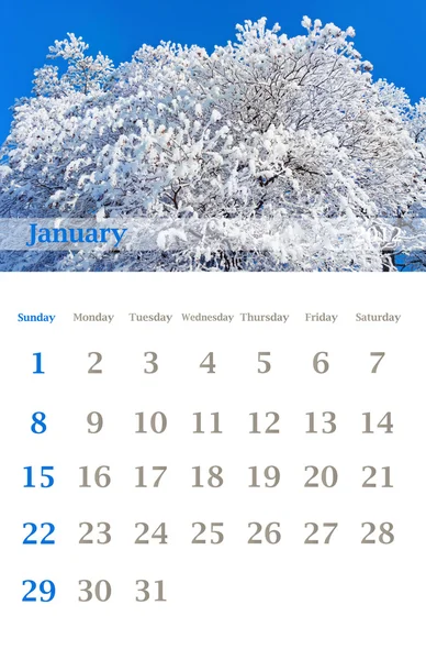 Calendario 2012, gennaio — Foto Stock