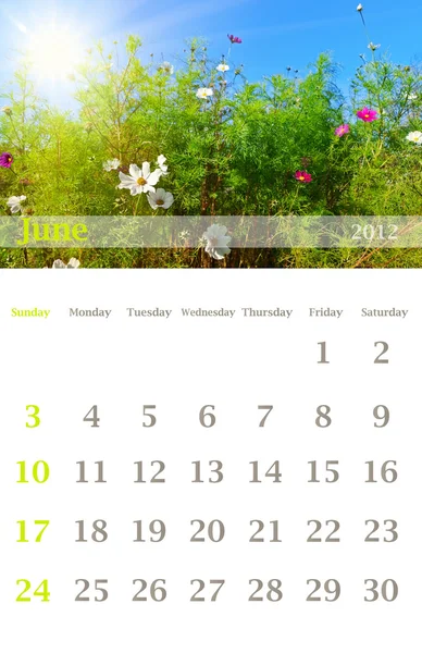 Calendário 2012, Junho — Fotografia de Stock