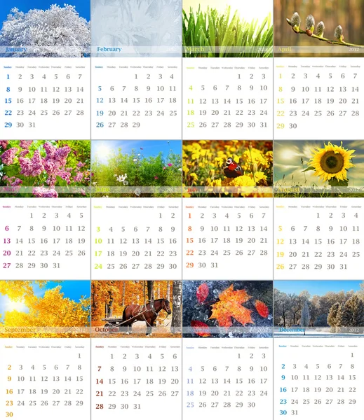 Kalendarz 2012 — Zdjęcie stockowe