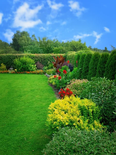 Летний цветочный сад — стоковое фото