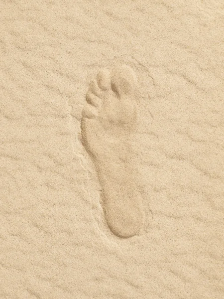 Footprint at the sand — Stock Photo, Image