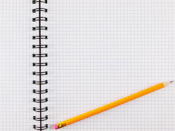 Kafesteki bir kalem ile levha — Stok fotoğraf