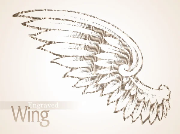 Vektor graverade utsmyckade wing — Stock vektor