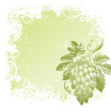 Grunge vector background with hand drawn bunch of grapes clipart