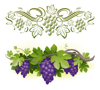 Ripe grapes on the vine & decorarative calligraphic vine