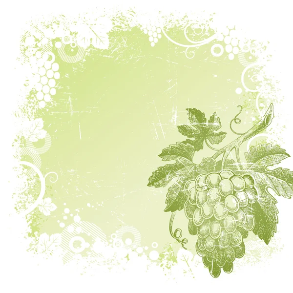 Гранжевий векторний фон з намальованим вручну гроном винограду — стоковий вектор