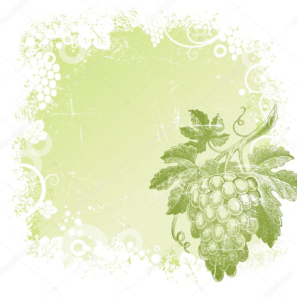 Grunge vector background with hand drawn bunch of grapes