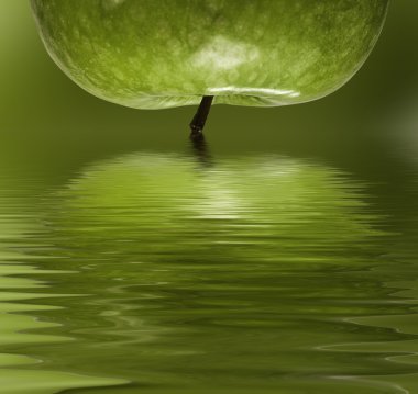 Green apple reflected in to the water clipart