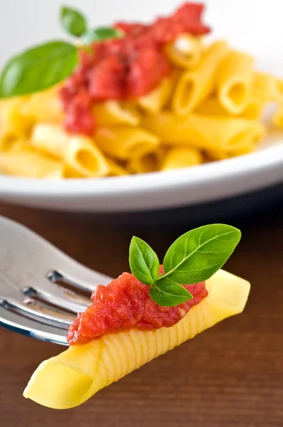 Pasta con salsa de tomate albahaca - Garganelli al pomodoro e basilico —  Fotos de Stock