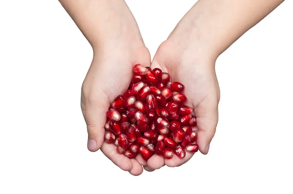 stock image Pomegranate seeds on human palm