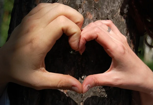 Heart from hands — Stock Photo, Image
