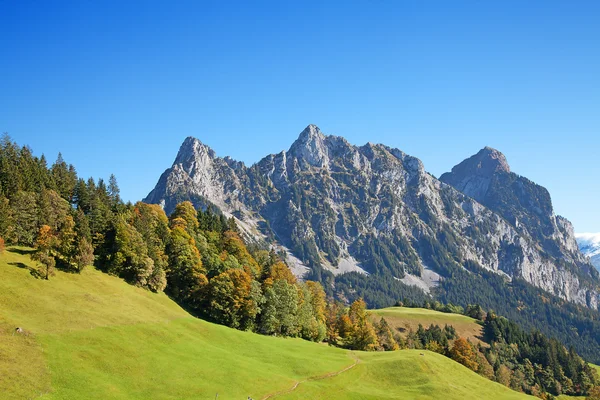 Höst — Stockfoto