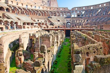 Ruins of the colloseum clipart