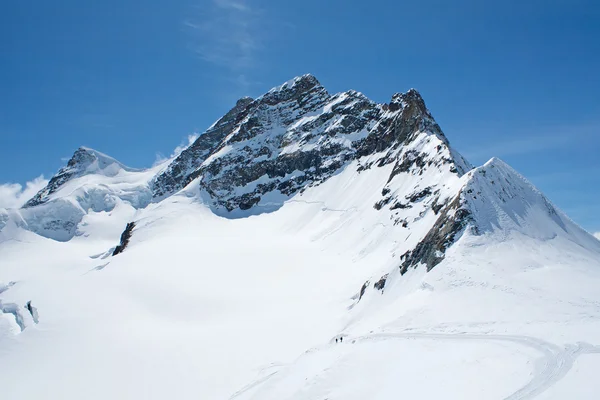 Της περιοχής Jungfrau — Φωτογραφία Αρχείου