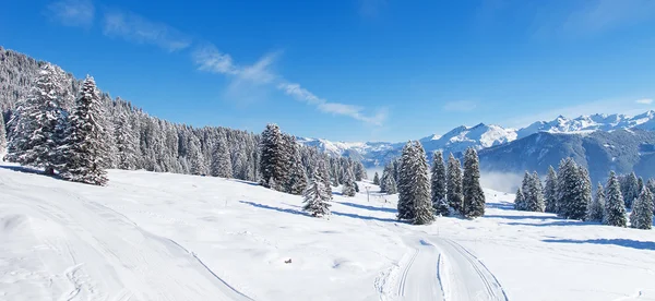 Vinter i Alperna Stockbild