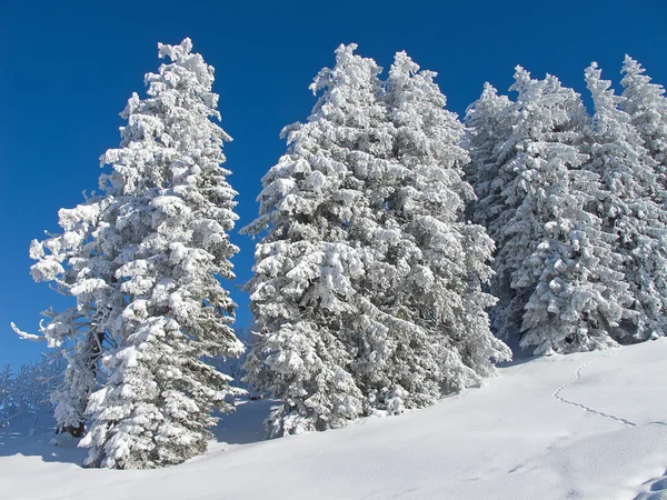 Inverno nelle Alpi Foto Stock