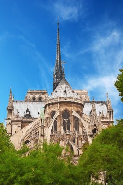 Notre Dame de Paris clipart