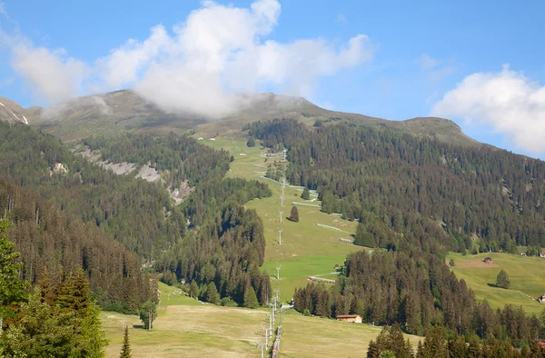 Yaz aylarında Alpler — Stok fotoğraf