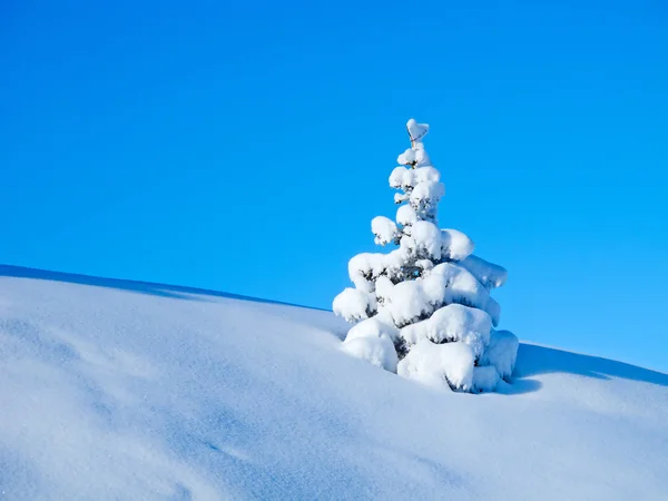 アルプスの冬 — ストック写真