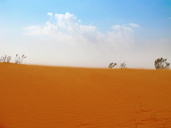 Deserto de areia vermelha — Fotografia de Stock