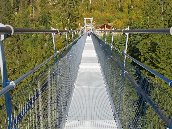 Svävande bridge — Stockfoto