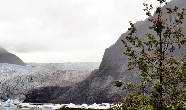 Alaskas glaciärer — Stockfoto