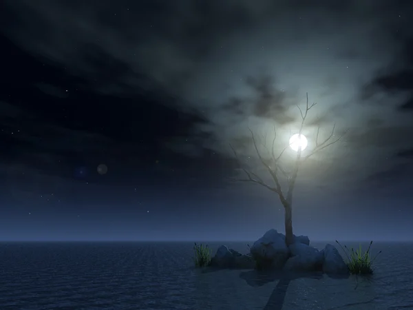 Döda trädet på natten — Stockfoto