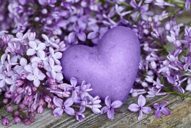 Heart and lilac clipart