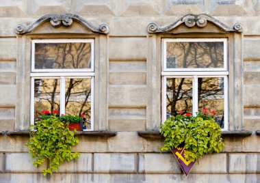 Facade of a building with windows clipart