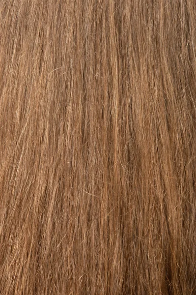 Γυναικείο μαλλιά υφή — Φωτογραφία Αρχείου