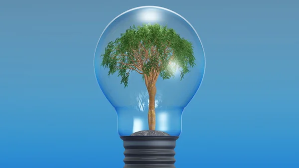 Drzewo to Lampa elektryczna — Zdjęcie stockowe