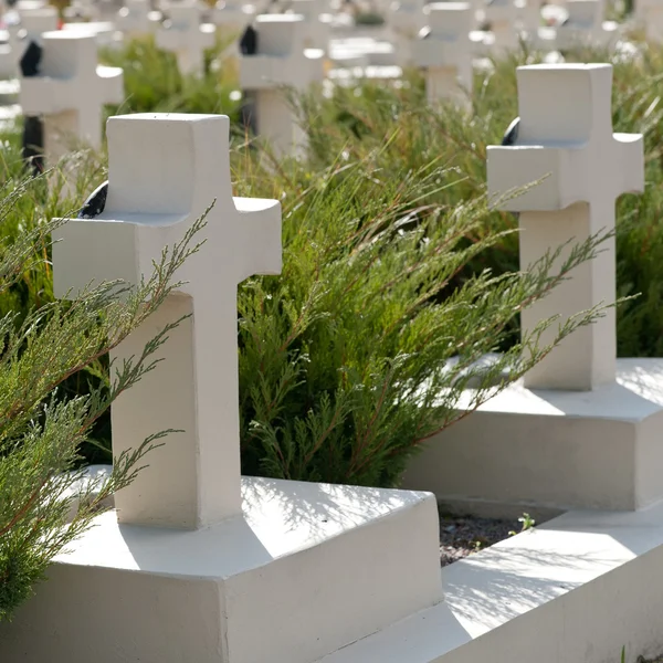 Cementerio militar —  Fotos de Stock
