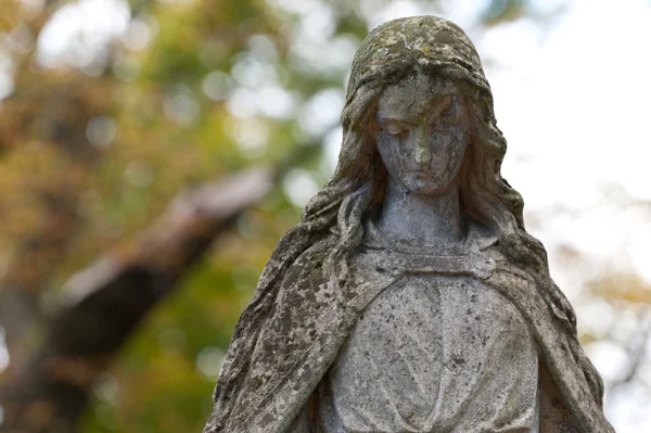Monumento Señora de Guadalupe en un cementerio —  Fotos de Stock