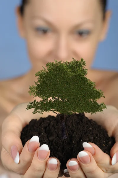Kvinnan håller i händerna jord med ett träd — Stockfoto