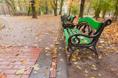 sonbahar park. Yağmurlu hava