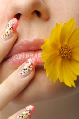 Female face close and nail art clipart