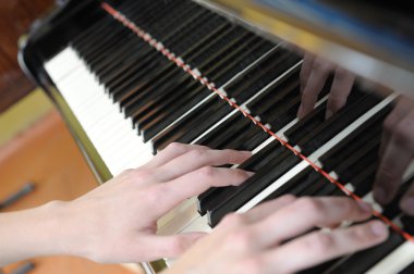 Hands above keys of the piano clipart