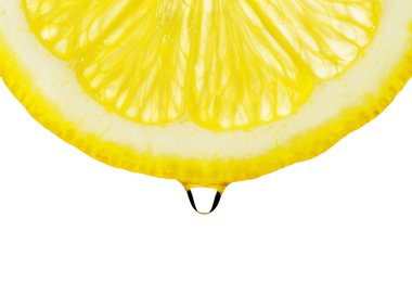 Section lemon with drop clipart