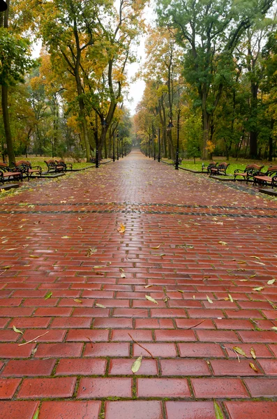 Alleyway with paved road to autumn park — Stock Photo, Image