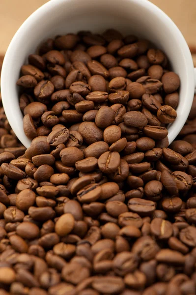 Taza blanca con granos de café — Foto de Stock