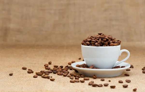 Tasse blanche avec grains de café — Photo
