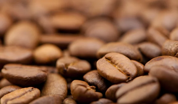 Koffie graan close-up — Stockfoto