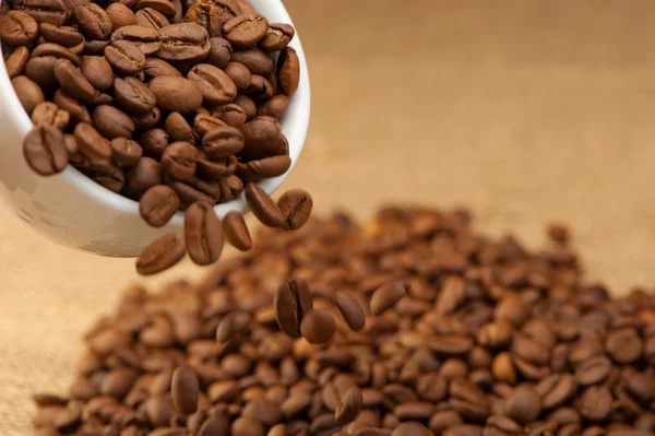 Koffie korrels vallen vanaf een cup — Stockfoto
