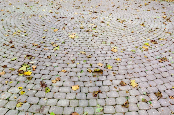 stock image Paved sidewalk with autumn foliage