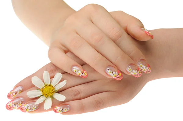 Kvinnlig hand och blomma — Stockfoto