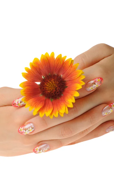 Vrouwelijke hand en bloem — Stockfoto